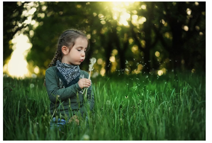 1629270016463452.png 图片.png